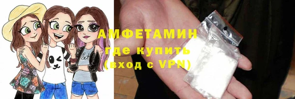 гидра Карпинск