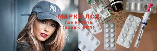 гидра Карпинск