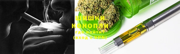 гидра Карпинск