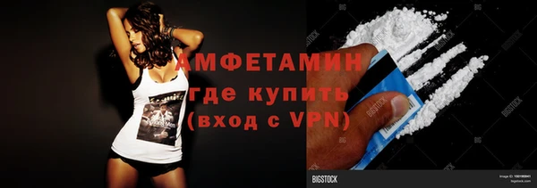гидра Карпинск