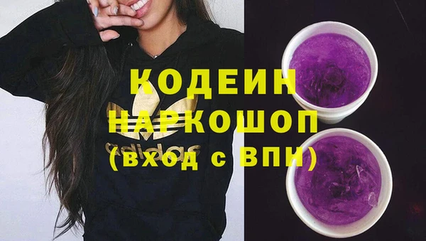 гидра Карпинск