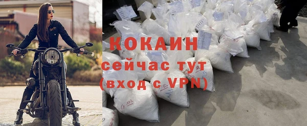 гидра Карпинск