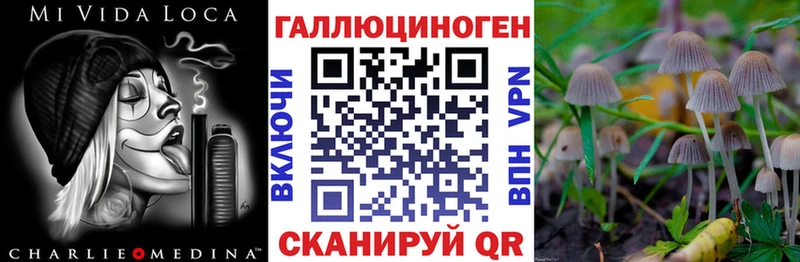 Купить закладки  Велиж  Псилоцибиновые грибы MAGIC MUSHROOMS 